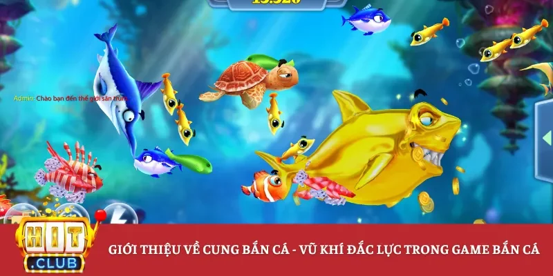 Giới thiệu về cung bắn cá
