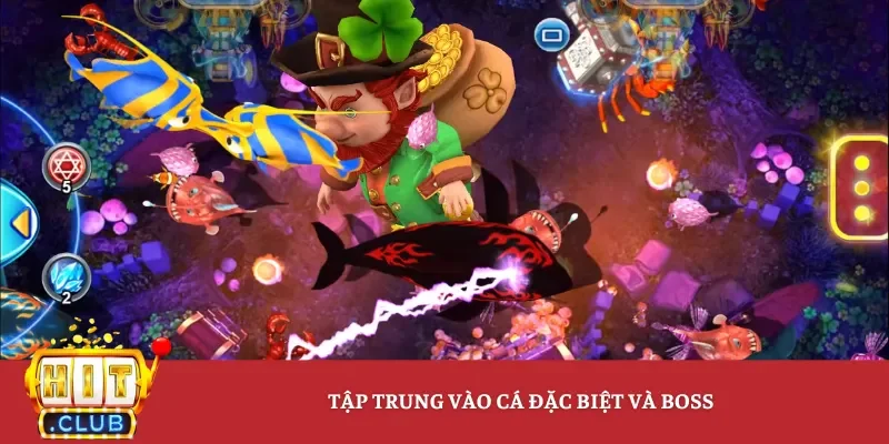 Tập trung vào cá đặc biệt và boss
